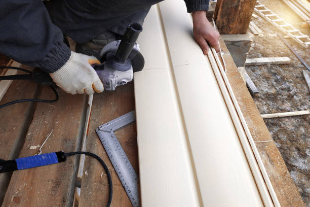 Best Vinyl Siding Installation  in Logan, NM